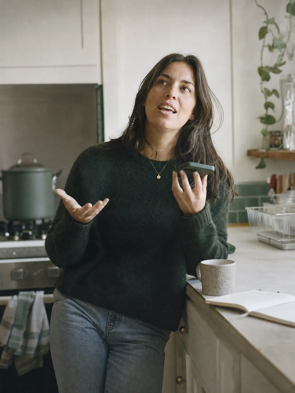 A candidate in her kitchen, mid-sentence in a lively phone conversation, gesturing as she speaks